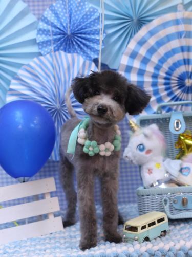 20231130ことわくん